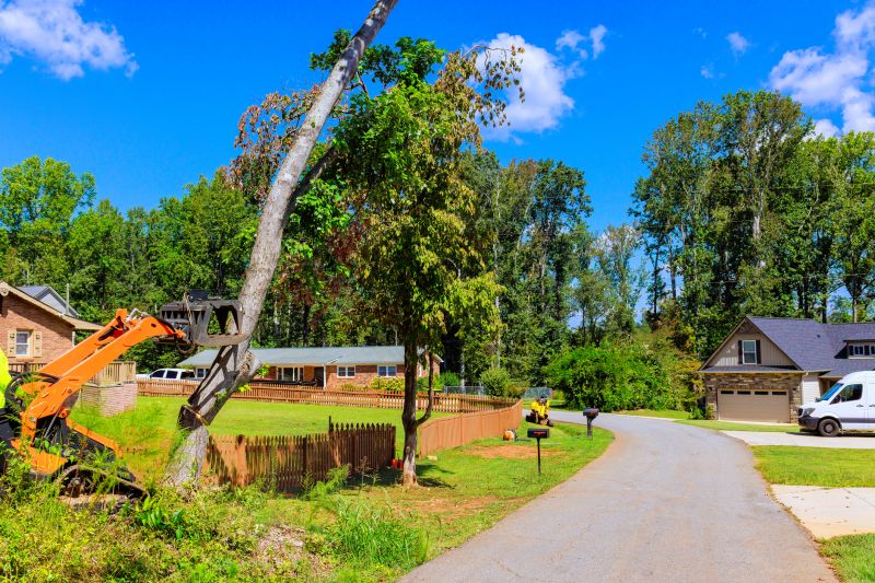 Commercial Property Clearing