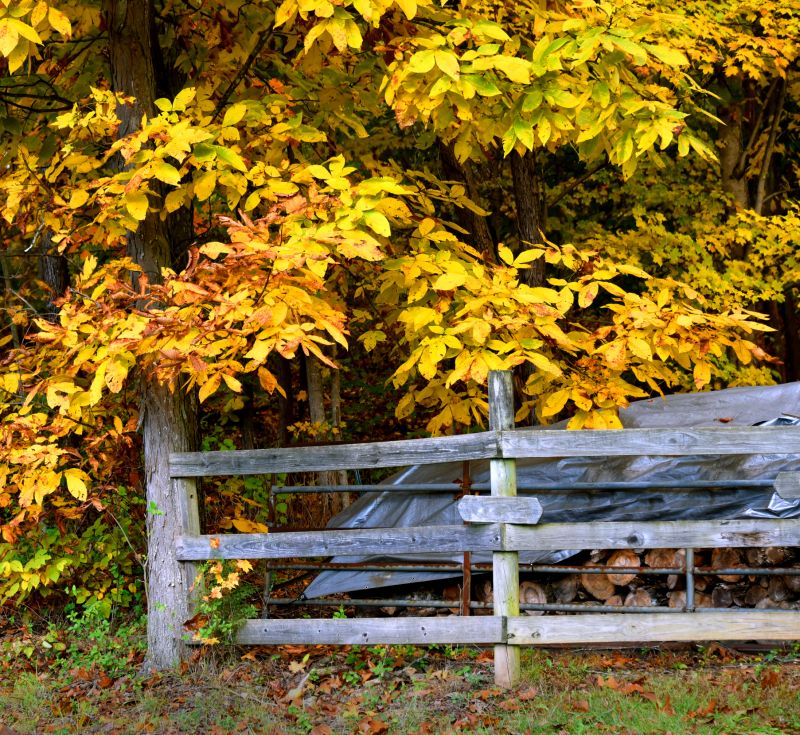 Budget-Smart Upgrades