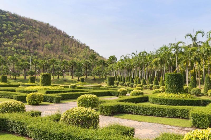 Aesthetic Tree Shaping